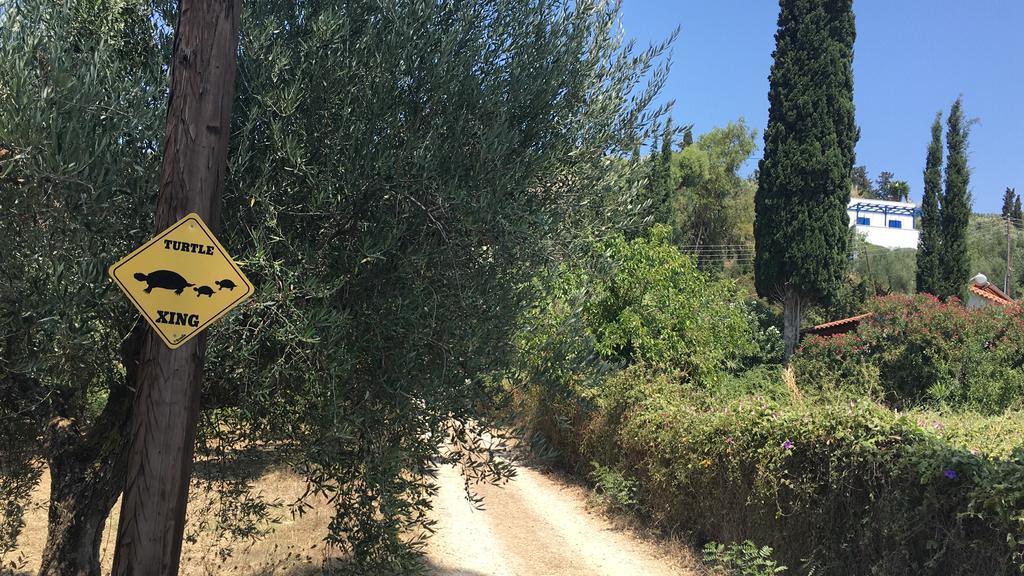 Bungalow Γιάλοβα Εξωτερικό φωτογραφία